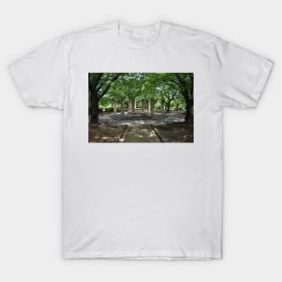 Himeji Castle Park Stone Octagon, Japan T-Shirt